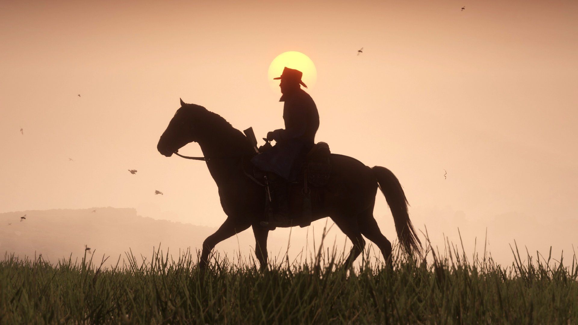 Red Dead Redemption 2 PC image 1
